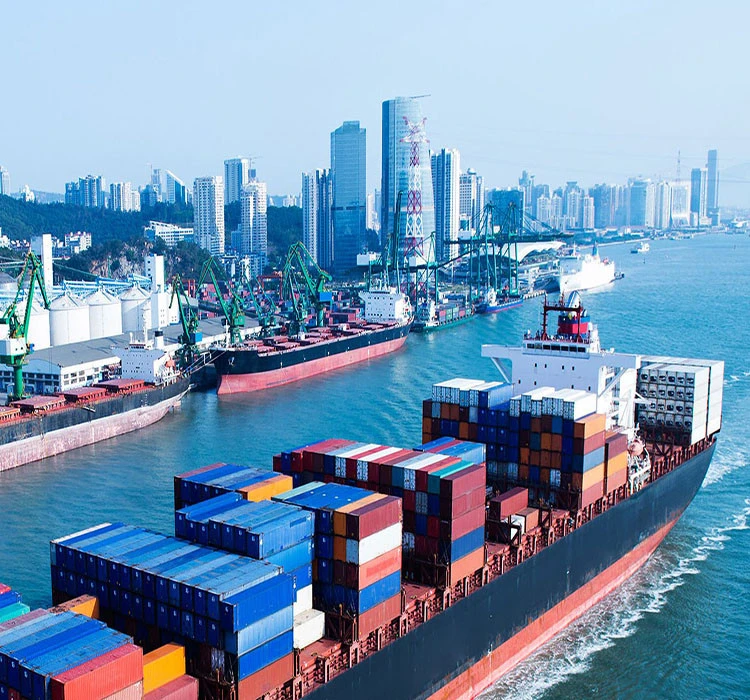 shipping agents to sri lanka sea freight china to south africa taobao japan
