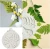 Import Silicone Mold leaf flower silicone mold mould sugar craft fondant cake tools gumpaste decorating baking tool from China