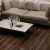 Import Simple Color Surface Treatment Removable Plastic WPC Flooring Looks Like Wood from China