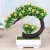 Import Simulation Room Decoration Home Furnishing Desktop Welcome The Pine Bonsai Bonsai from China