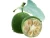 Siraitia Grosvenorii (Monk Fruit) Extract 10%-80% Mogroside V