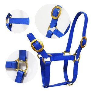 small size head collar pvc horse halter with solid brass fittings
