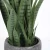Import Small Tropical Potted Plant Plastic Sansevieria Artificial Snake Plants Mini Bonsai Tree Faux Tree Green Mini Snake Tree from China