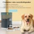 Import Smart Pet feeder  with Two-Way Splitter and Double Bowls for Pets Automatic Pets Feeder from China