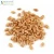 Import Soft Wheat Grain (Sortex & Machine Clean) from India