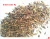 Import Sun Dried Water Flies for Fish Meal from China