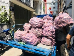 Sweet potato - High quality Vietnamese - On Sale 2019