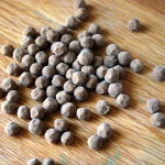 Tapioca Pearl Ball with Caramel Flavor for Milk Tea, Bubble Tea - Product of Vietnam