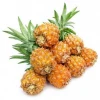 Top Grade Fresh Queen Pineapple Supplier/Wholesaler