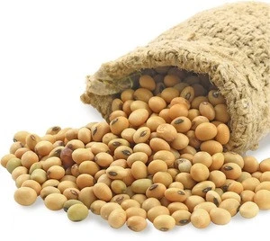 Top Grade Quality Soya Beans 2019/ High protein rich yellow soy soybean