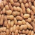 Import Top Grade Raw Peanuts and Peanuts for sale / blanched peanut kernels in round shape from Philippines