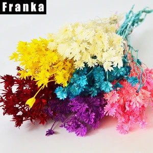 Various Colors Octagon Flower Dried Flower Export for Interior Decoration