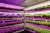 Import Vertical Farming Led Grow Light T8 Grow Tube RGB 28w from China