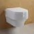 Import Wall Mounted Ceramic Toilet Seat from China