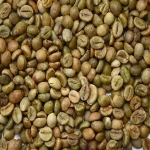 WASH WET POLISH VIETNAM WHOLE SALE ROBUSTA COFFEE BEAN ARABICA COFFEE/ROBUSTA NEW CROP 2015