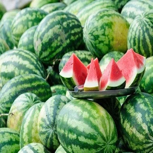 Fresh Water Melons in great discounts