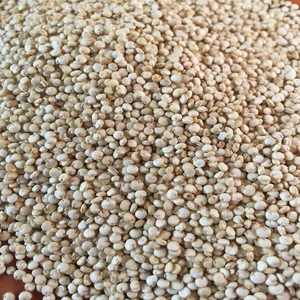 white quinoa grains from Reliable Supplier