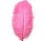 Import Wholesale cheap beautiful desktop decorative feathers from China