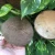 Import Wholesale Dry Semi Husked Coconut Shell Folk Crafts from China