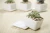 Import Wholesale White Garden Mini Pot Succulent Container Square Pot Tray from China