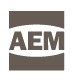 AEM (Association of Equipment Manufacturers)