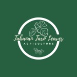 Tabanan Taro Leaves