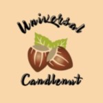 Universal Candlenut Indonesia