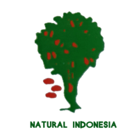 Natural Indonesia
