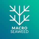 Macro Seaweed