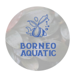 Borneo Aquatic