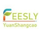 feeslybag