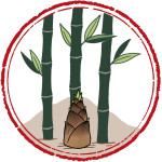 Bamboo Shoots