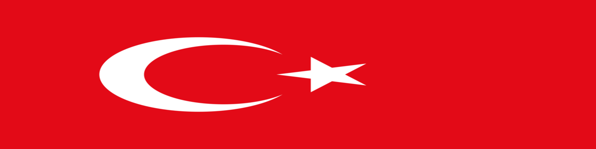 malik türk